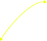 нижняя поперечная линия