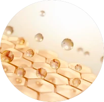 корень волоса