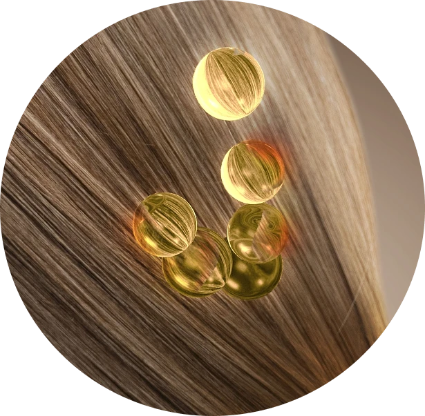 корень волоса