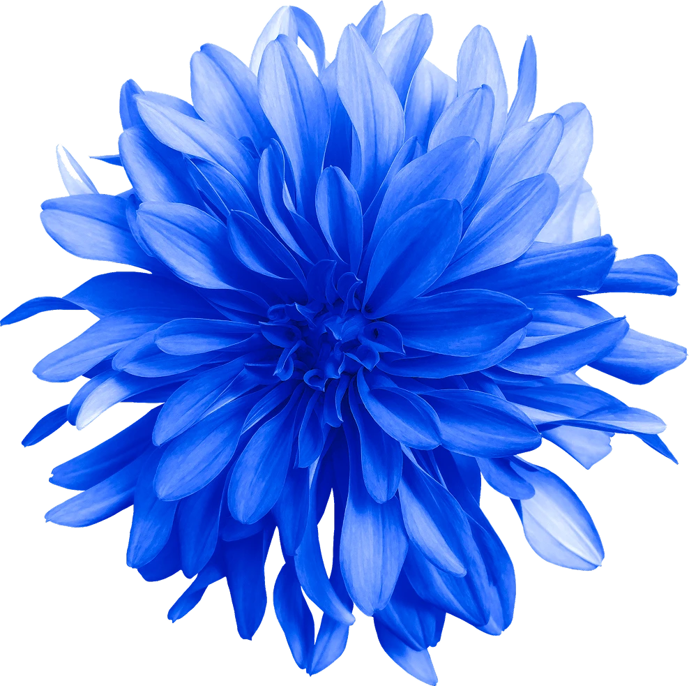 правый цветок