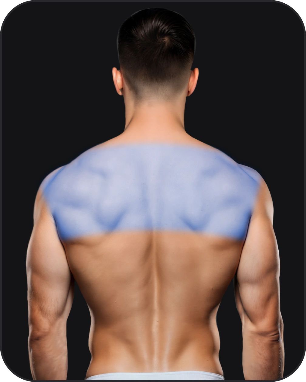 шея и плечи.