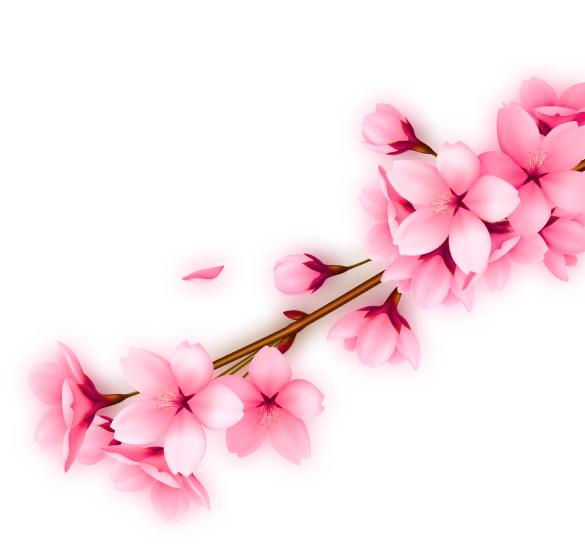 right brush