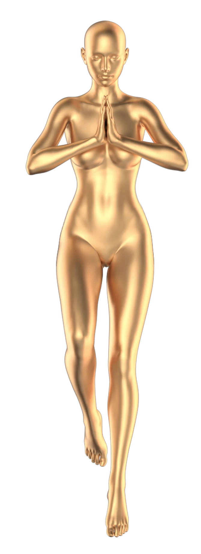 human flesh