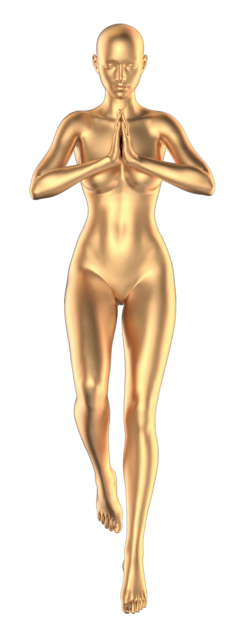 human flesh