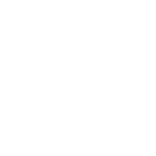 twelve modes logo