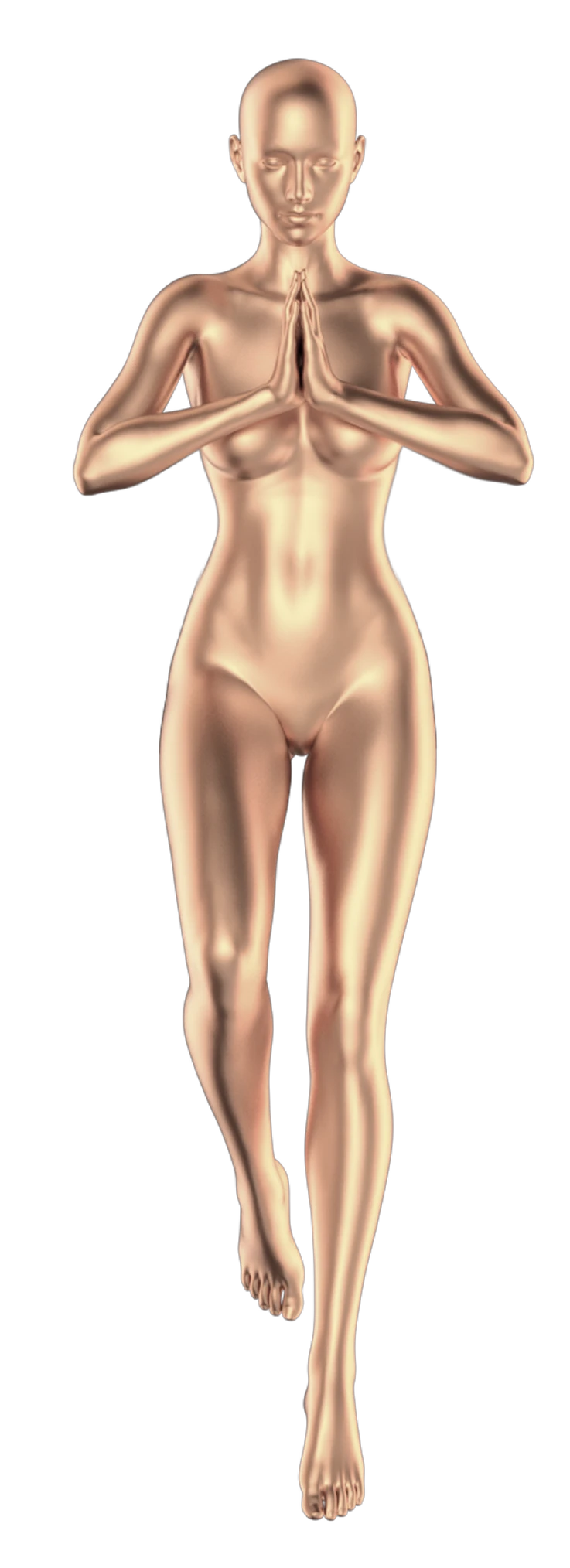 human flesh