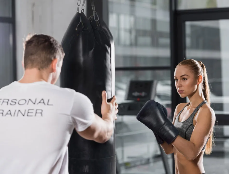 Боксерский мешок Boxer