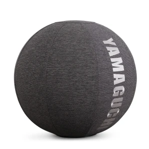 FIT Ball Cover