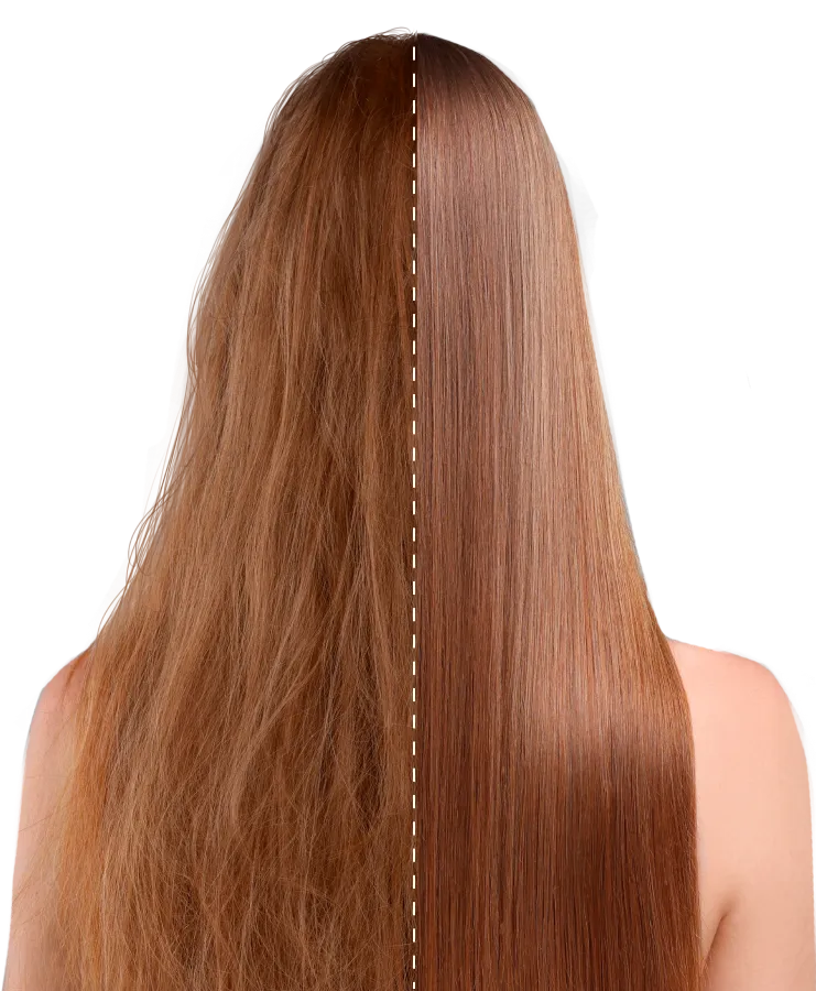 EMS Hair Brush