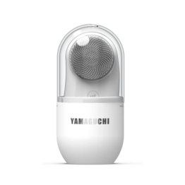 Прибор по антивозрастному уходу за кожей лица Anti-Age Skin Care