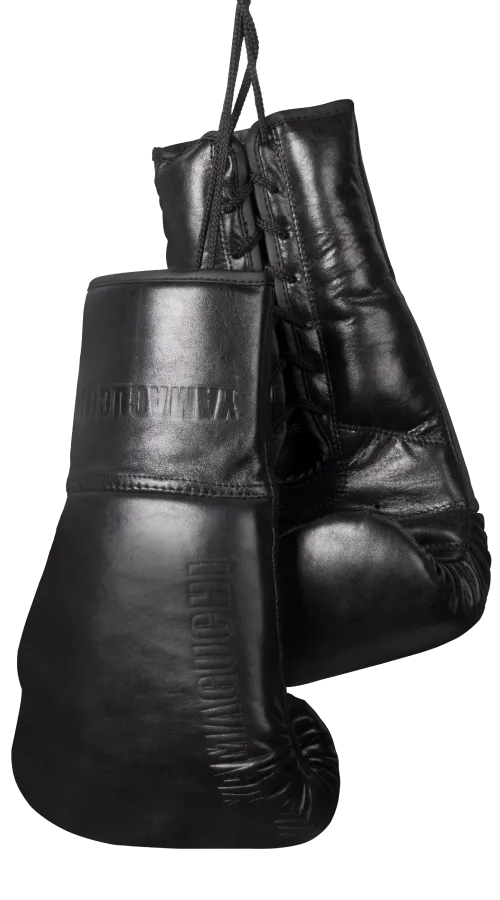 Боксерские перчатки Boxing Gloves