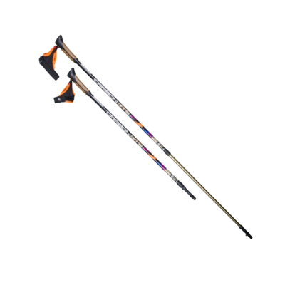 Двухсекционные палки для скандинавской ходьбы US MEDICA Carbon GTS
