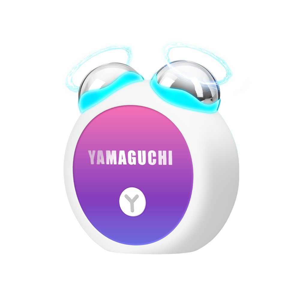 YAMAGUCHIEMSFaceRoller