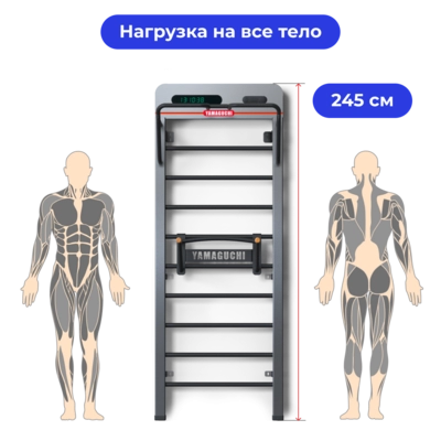 Многофункциональная шведская стенка Yamaguchi Smart Wall 245 см