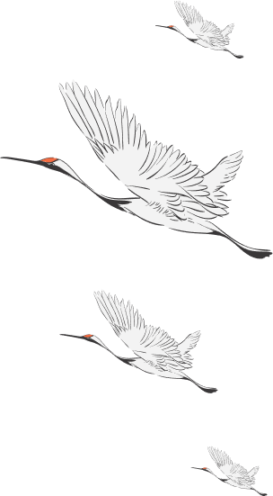 swans