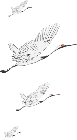 swans